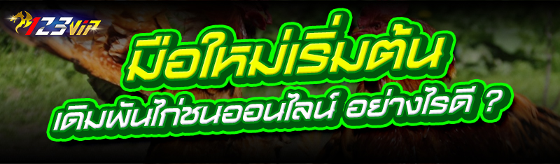 มือใหม่เริ่มต้น เดิมพันไก่ชนออนไลน์ อย่างไรดี ?