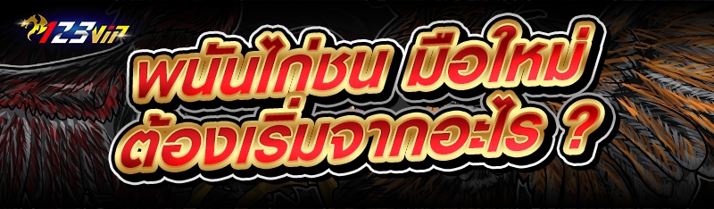 พนันไก่ชน มือใหม่ต้องเริ่มจากอะไร ?